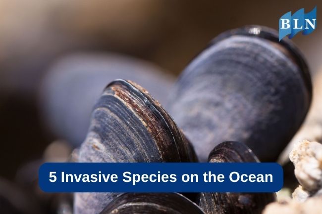 5 Invasive Species On The Ocean